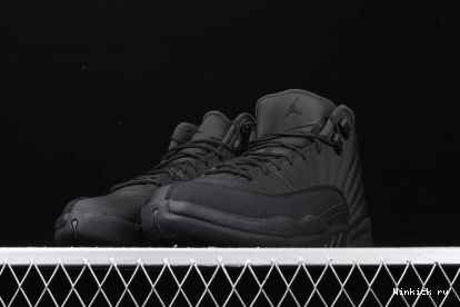 WINTERIZED ANTHRACITE JORDAN BLACK AIR 12 0803